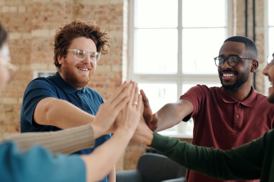 Diversity and Inclusion Masterclass