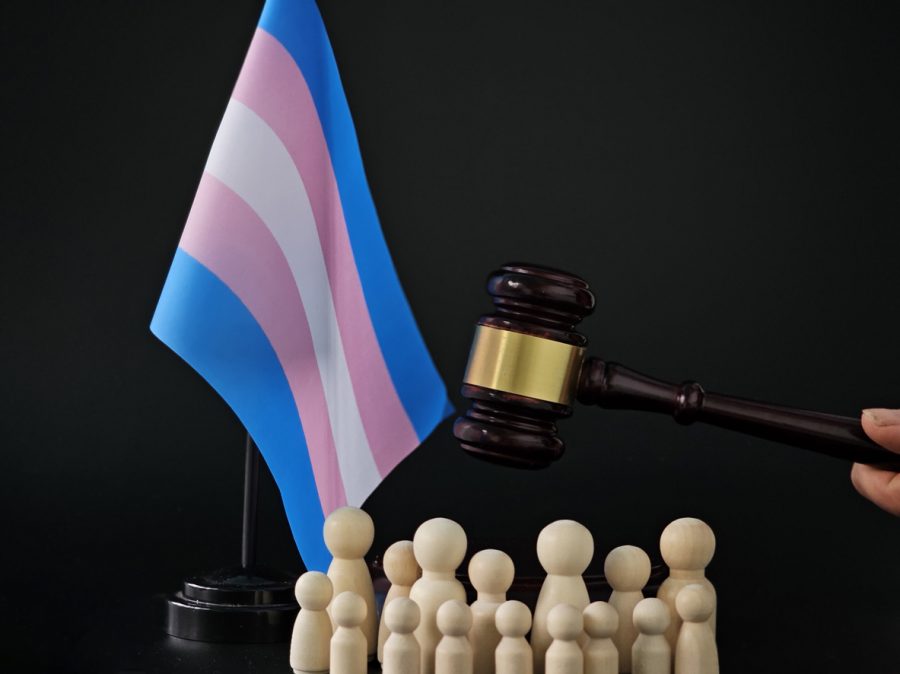 Judge wooden mallet, rainbow and transgender flags as symbol of tolerance on desk and wall, concept